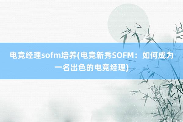 电竞经理sofm培养(电竞新秀SOFM：如何成为一名出色的电竞经理)
