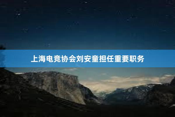上海电竞协会刘安童担任重要职务